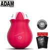 Adam Licking Rose Vibrator